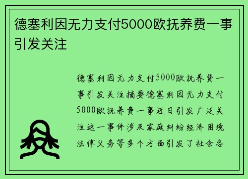 德塞利因无力支付5000欧抚养费一事引发关注