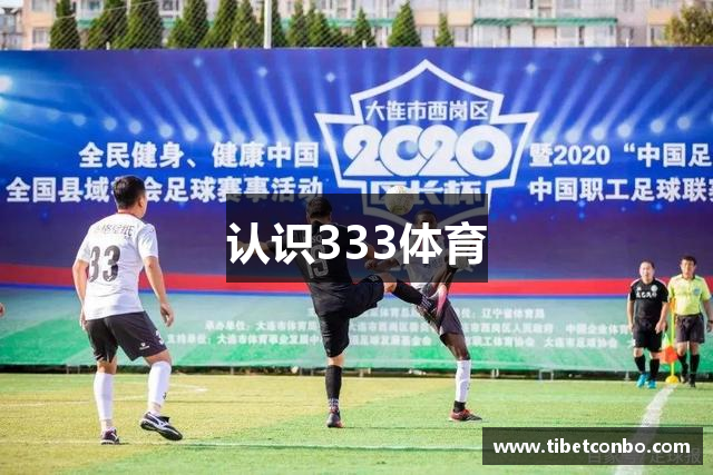 认识333体育
